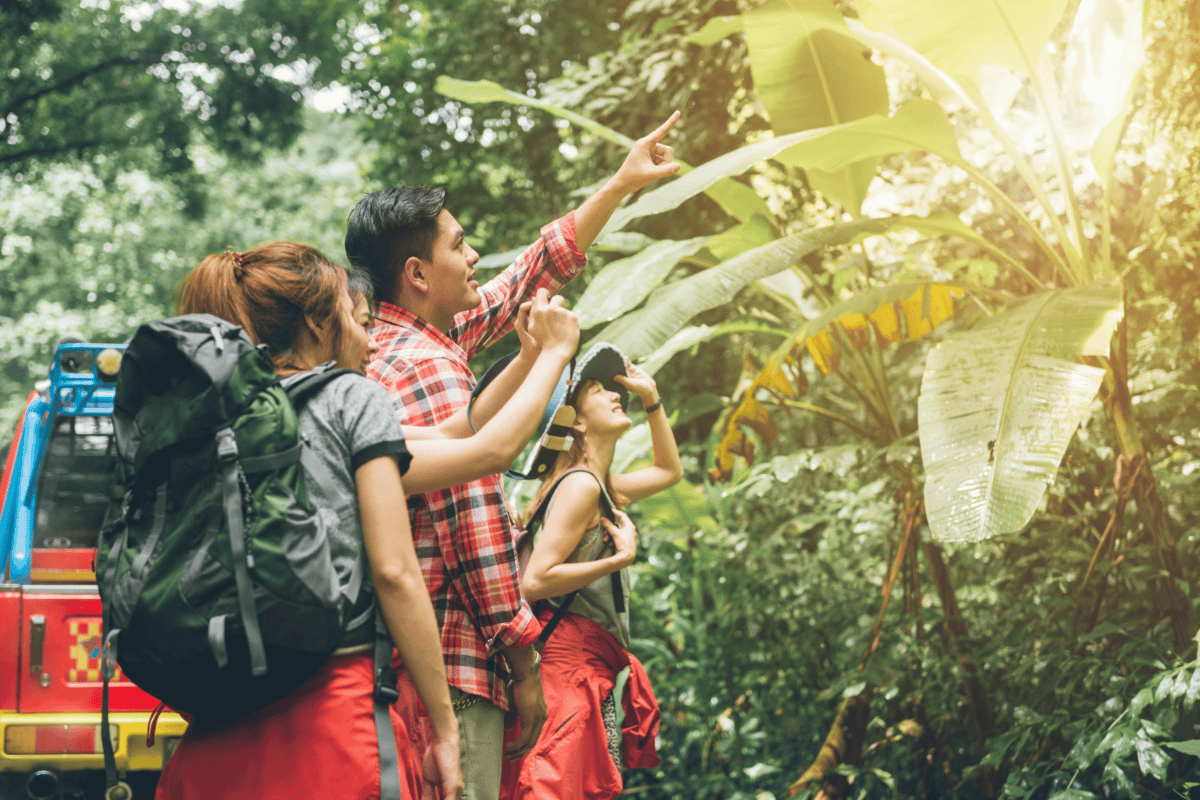 Travelers going on a jungle tour that booked through their hotel.